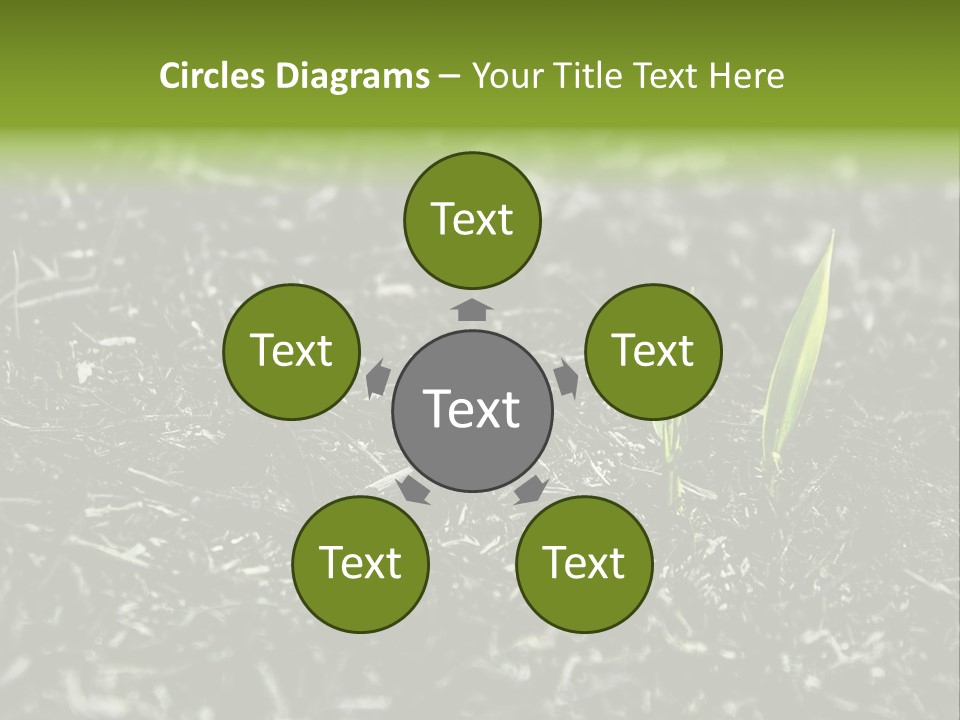A Green Plant Is Growing Out Of The Ground PowerPoint Template