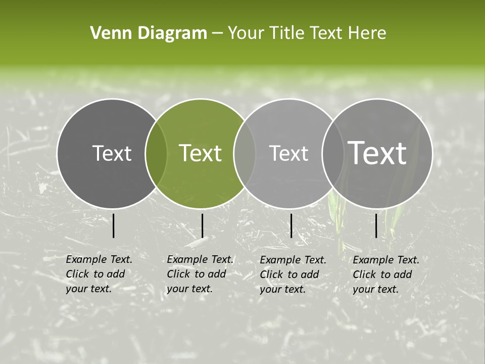 A Green Plant Is Growing Out Of The Ground PowerPoint Template