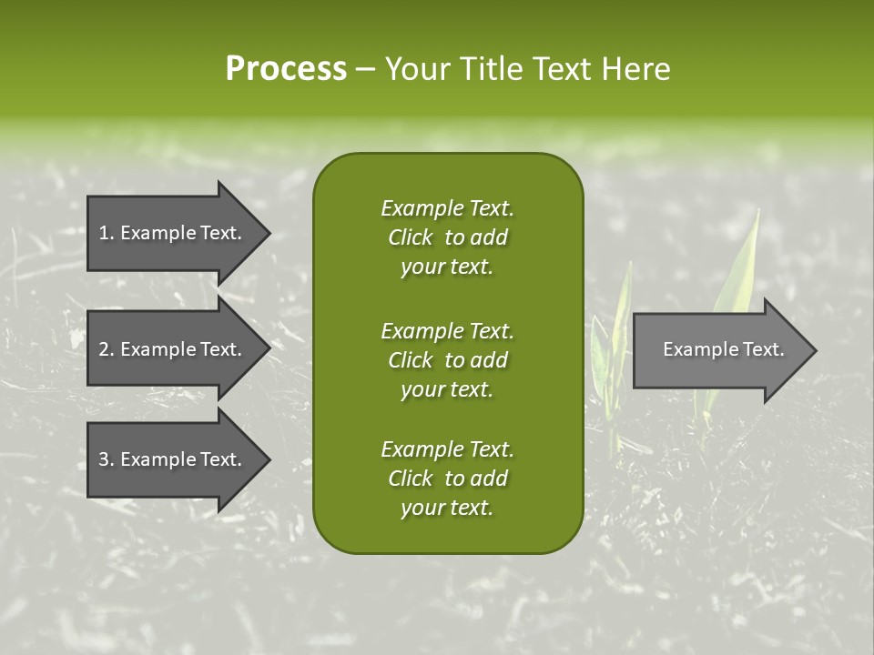 A Green Plant Is Growing Out Of The Ground PowerPoint Template