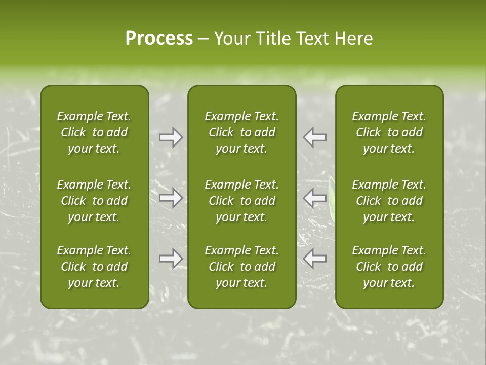 A Green Plant Is Growing Out Of The Ground PowerPoint Template