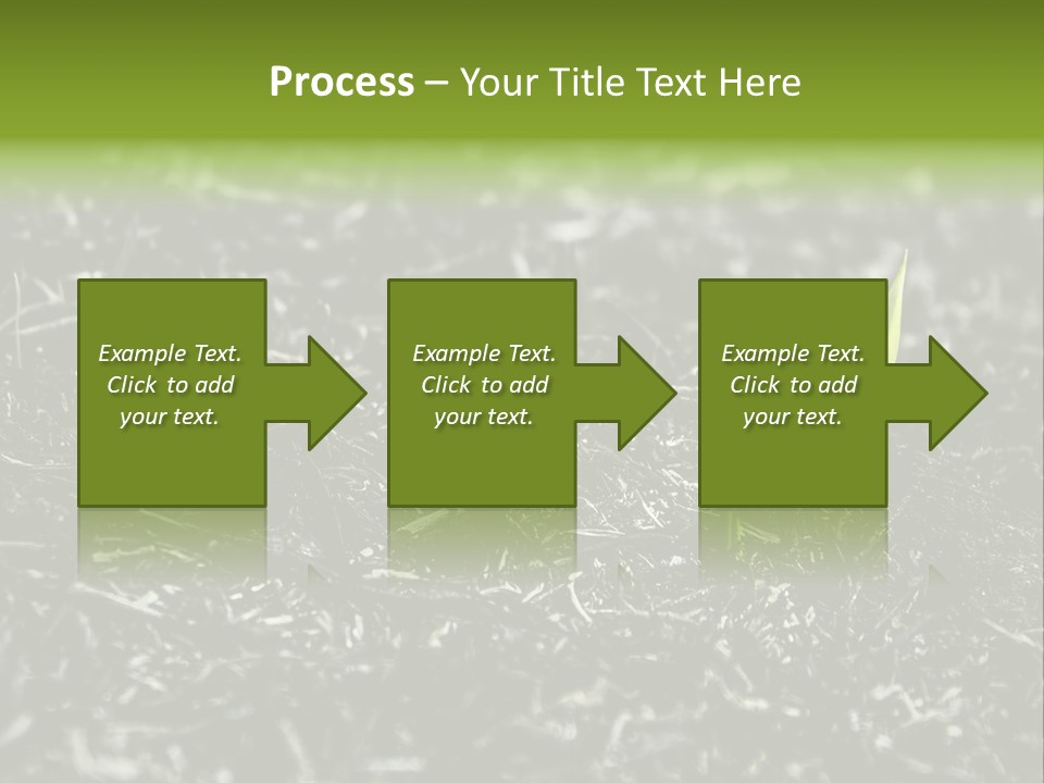 A Green Plant Is Growing Out Of The Ground PowerPoint Template
