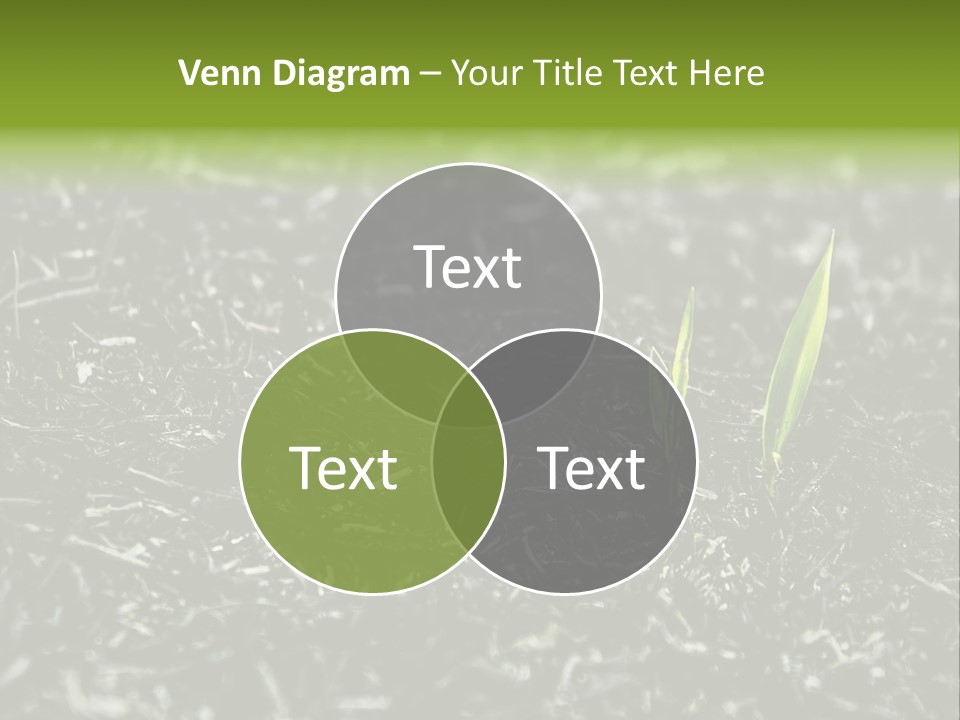 A Green Plant Is Growing Out Of The Ground PowerPoint Template