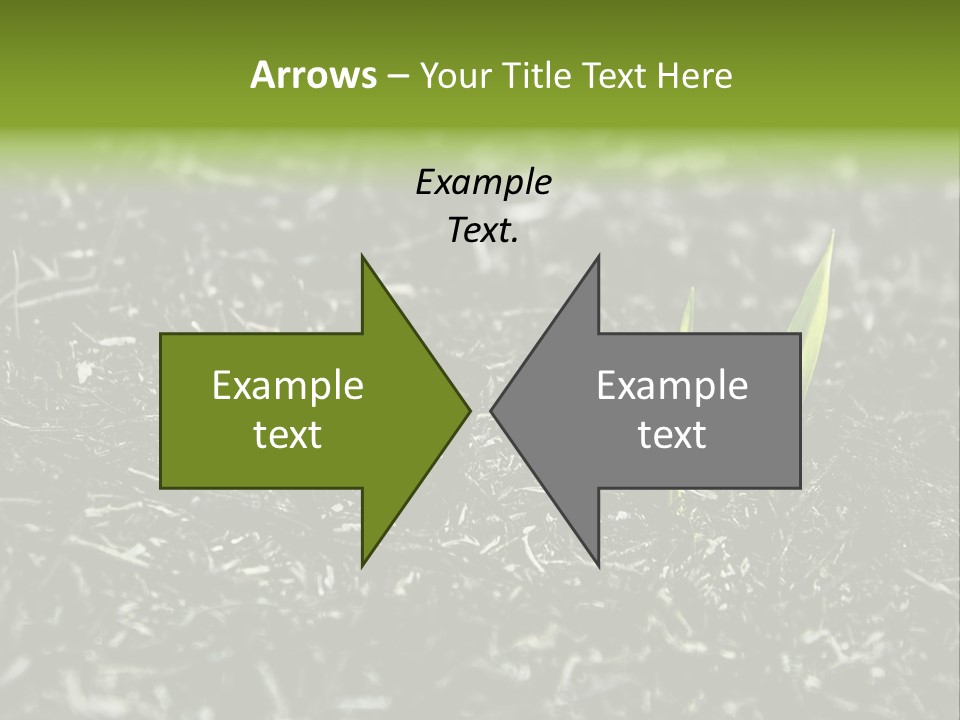 A Green Plant Is Growing Out Of The Ground PowerPoint Template