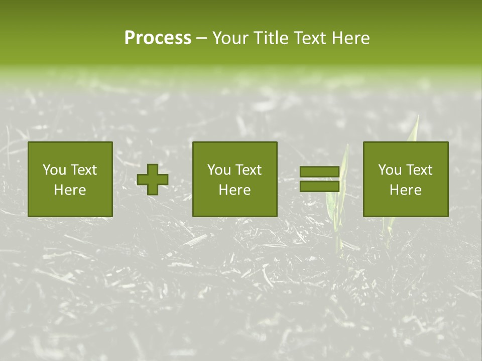 A Green Plant Is Growing Out Of The Ground PowerPoint Template