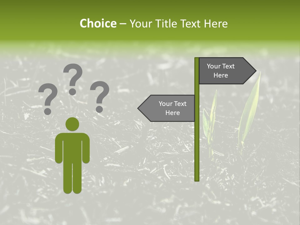 A Green Plant Is Growing Out Of The Ground PowerPoint Template