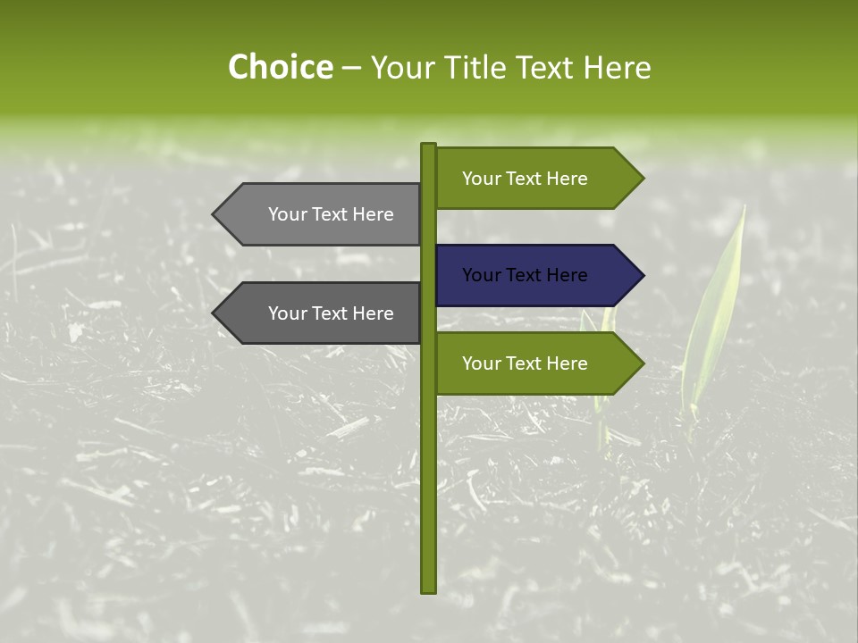 A Green Plant Is Growing Out Of The Ground PowerPoint Template