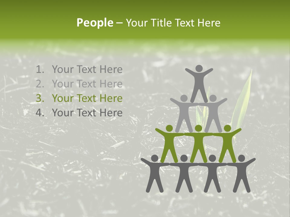 A Green Plant Is Growing Out Of The Ground PowerPoint Template