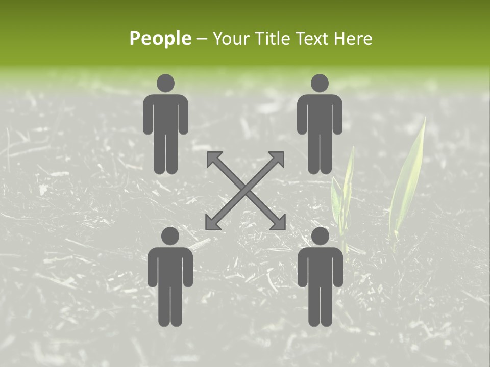 A Green Plant Is Growing Out Of The Ground PowerPoint Template