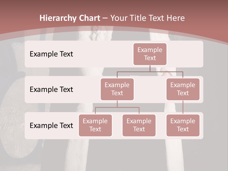 A Man Standing In Front Of A Wall With Graffiti On It PowerPoint Template