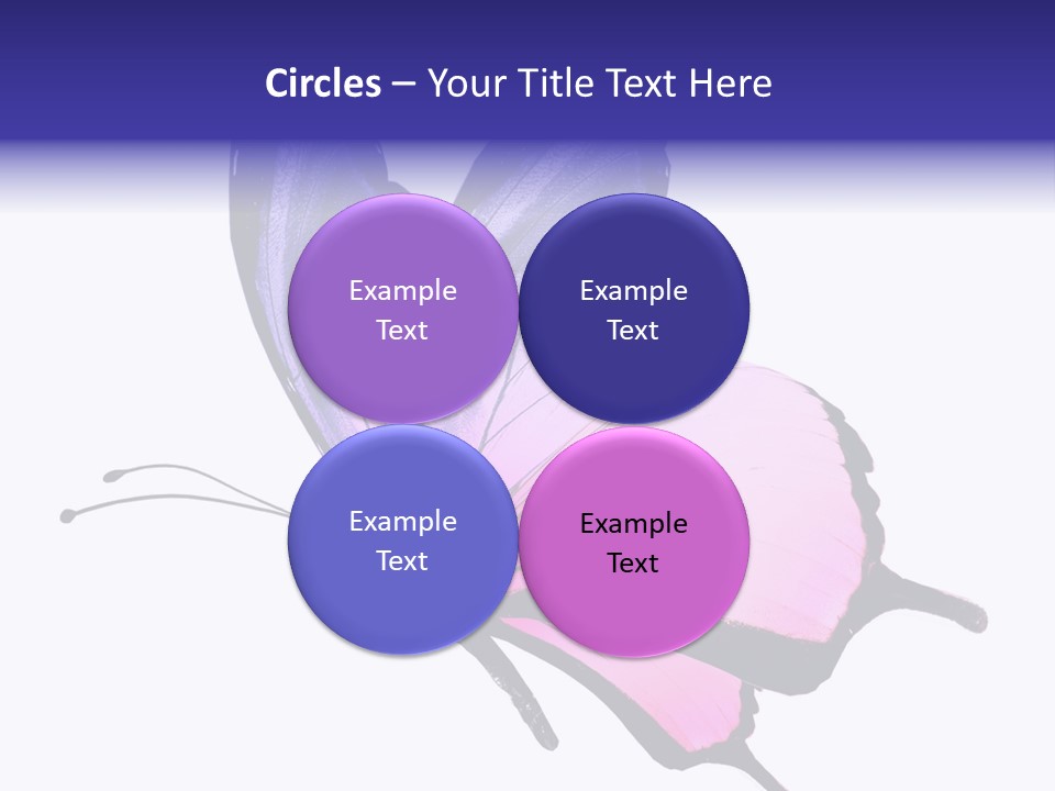 A Pink Butterfly With Purple Wings On A White Background PowerPoint Template