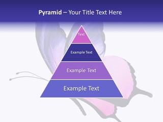 A Pink Butterfly With Purple Wings On A White Background PowerPoint Template