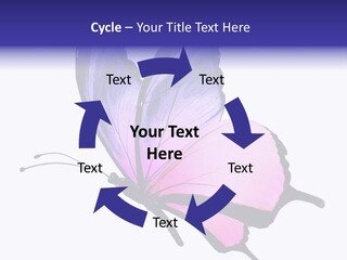 A Pink Butterfly With Purple Wings On A White Background PowerPoint Template