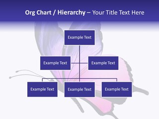 A Pink Butterfly With Purple Wings On A White Background PowerPoint Template