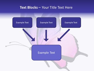 A Pink Butterfly With Purple Wings On A White Background PowerPoint Template