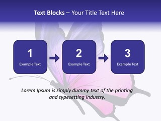 A Pink Butterfly With Purple Wings On A White Background PowerPoint Template