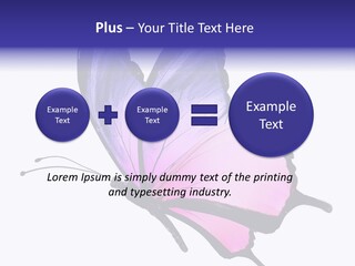 A Pink Butterfly With Purple Wings On A White Background PowerPoint Template