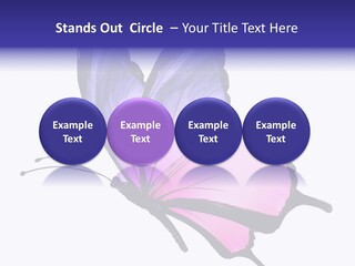 A Pink Butterfly With Purple Wings On A White Background PowerPoint Template
