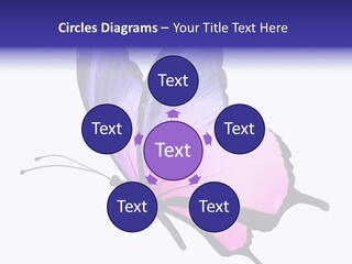 A Pink Butterfly With Purple Wings On A White Background PowerPoint Template