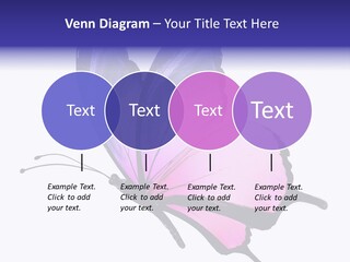 A Pink Butterfly With Purple Wings On A White Background PowerPoint Template