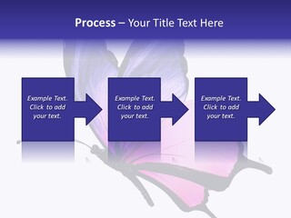 A Pink Butterfly With Purple Wings On A White Background PowerPoint Template