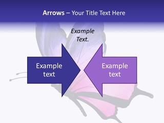A Pink Butterfly With Purple Wings On A White Background PowerPoint Template