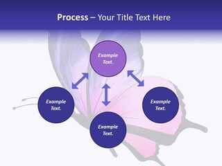 A Pink Butterfly With Purple Wings On A White Background PowerPoint Template