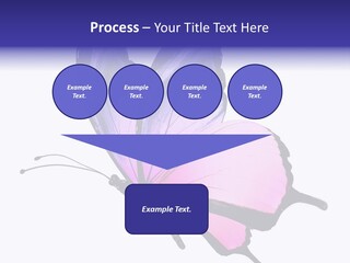 A Pink Butterfly With Purple Wings On A White Background PowerPoint Template