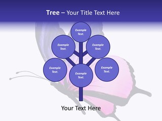 A Pink Butterfly With Purple Wings On A White Background PowerPoint Template