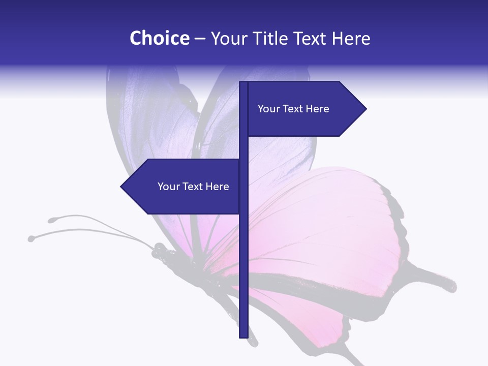 A Pink Butterfly With Purple Wings On A White Background PowerPoint Template