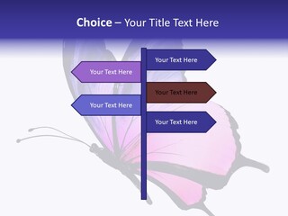 A Pink Butterfly With Purple Wings On A White Background PowerPoint Template