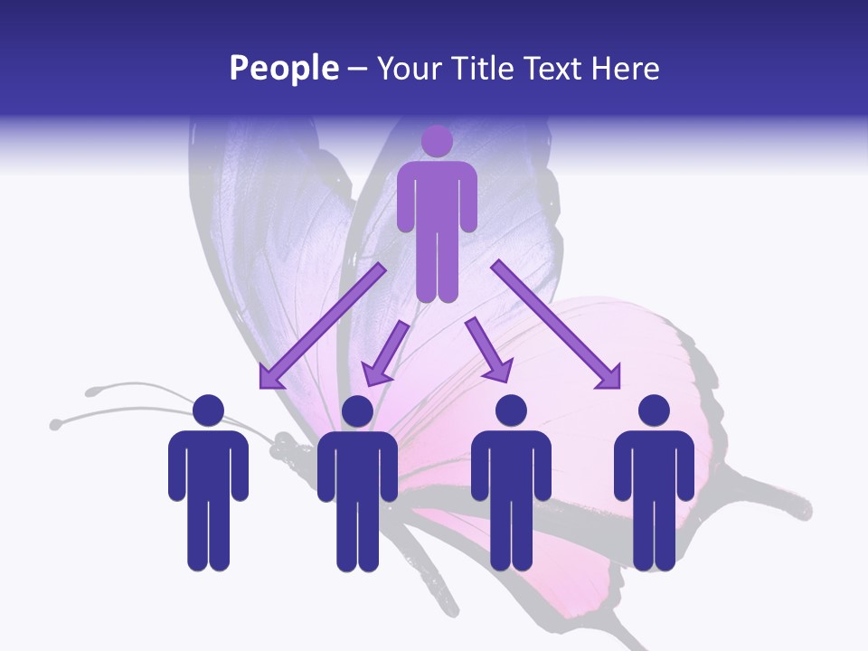 A Pink Butterfly With Purple Wings On A White Background PowerPoint Template