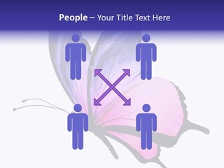 A Pink Butterfly With Purple Wings On A White Background PowerPoint Template