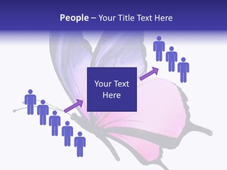 A Pink Butterfly With Purple Wings On A White Background PowerPoint Template