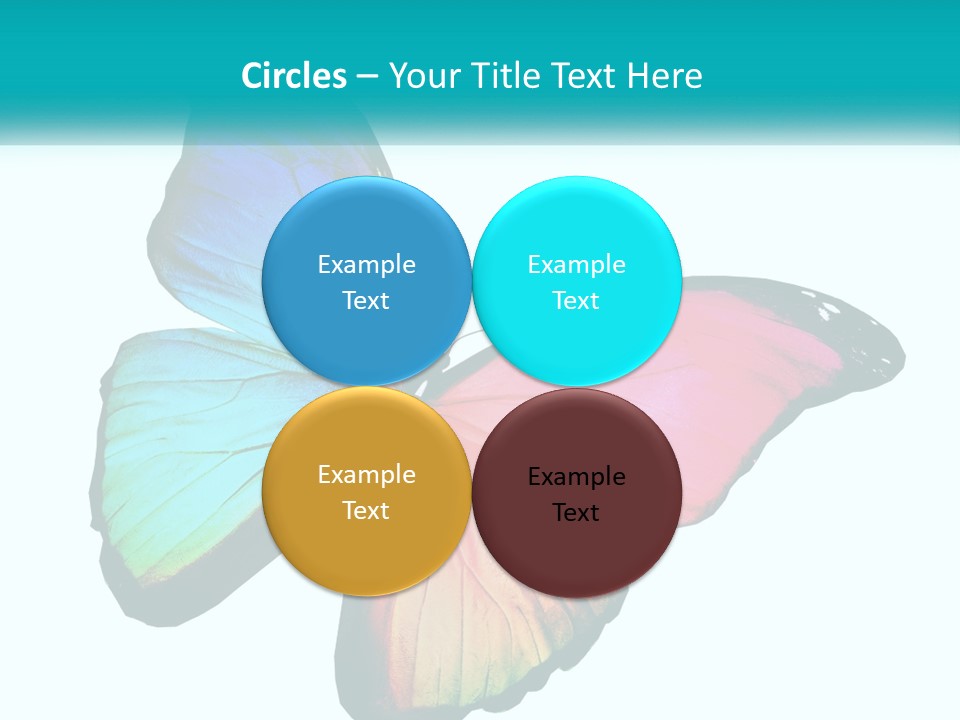 A Colorful Butterfly With A White Background PowerPoint Template
