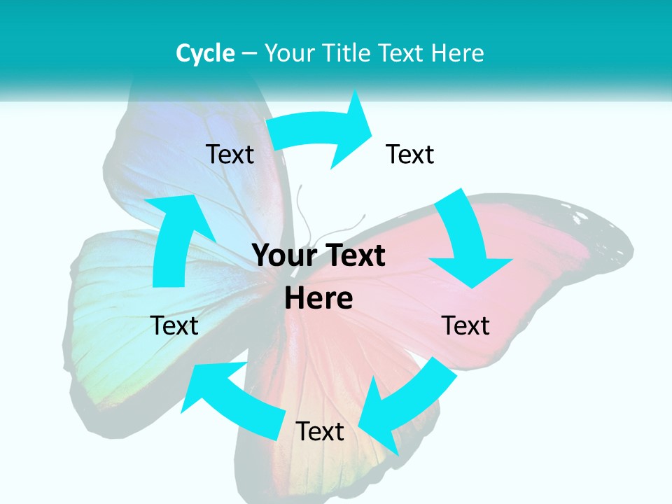 A Colorful Butterfly With A White Background PowerPoint Template