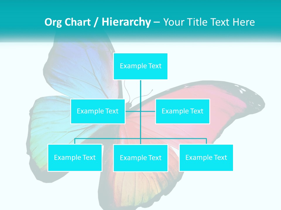A Colorful Butterfly With A White Background PowerPoint Template