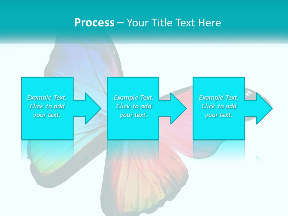 A Colorful Butterfly With A White Background PowerPoint Template