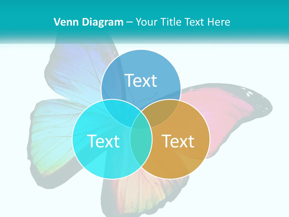 A Colorful Butterfly With A White Background PowerPoint Template