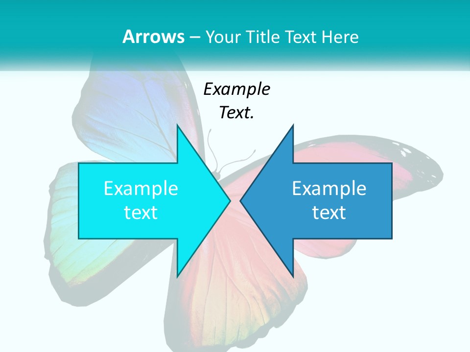 A Colorful Butterfly With A White Background PowerPoint Template