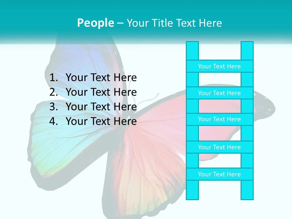 A Colorful Butterfly With A White Background PowerPoint Template