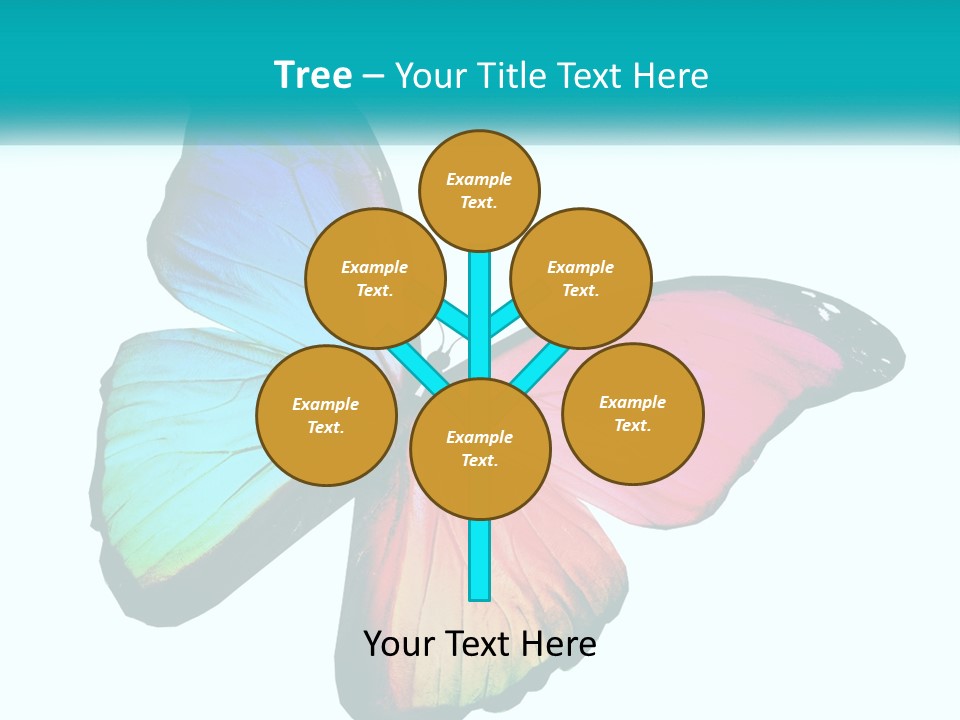 A Colorful Butterfly With A White Background PowerPoint Template