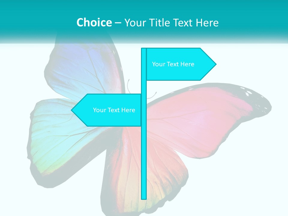A Colorful Butterfly With A White Background PowerPoint Template