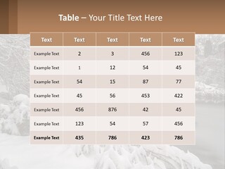 A Bridge Over A River With Snow On It PowerPoint Template