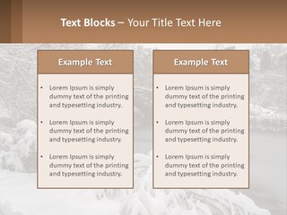 A Bridge Over A River With Snow On It PowerPoint Template
