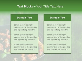 A Person Cooking Food On A Grill In A Field PowerPoint Template