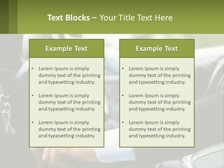 A Man Driving A Car With A Key Chain In His Hand PowerPoint Template