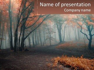 A Foggy Forest With Trees And Leaves On The Ground PowerPoint Template