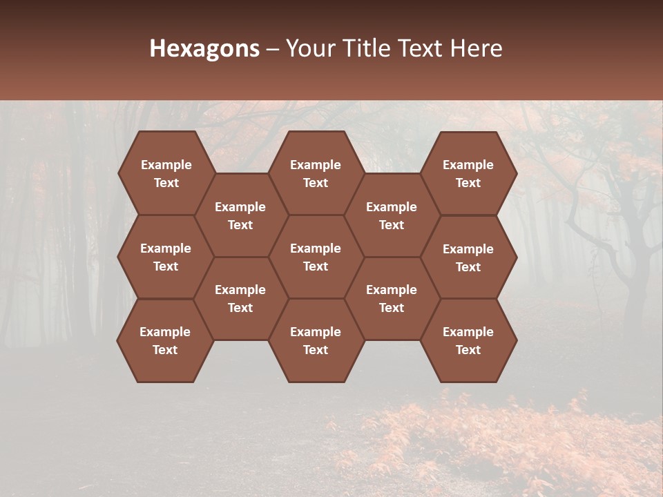 A Foggy Forest With Trees And Leaves On The Ground PowerPoint Template