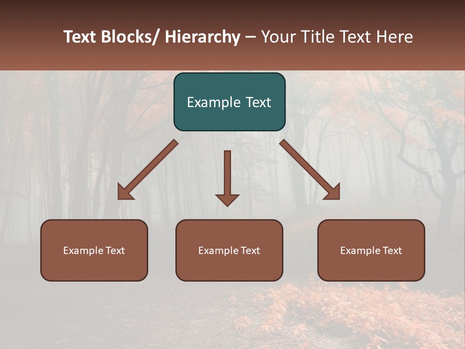 A Foggy Forest With Trees And Leaves On The Ground PowerPoint Template
