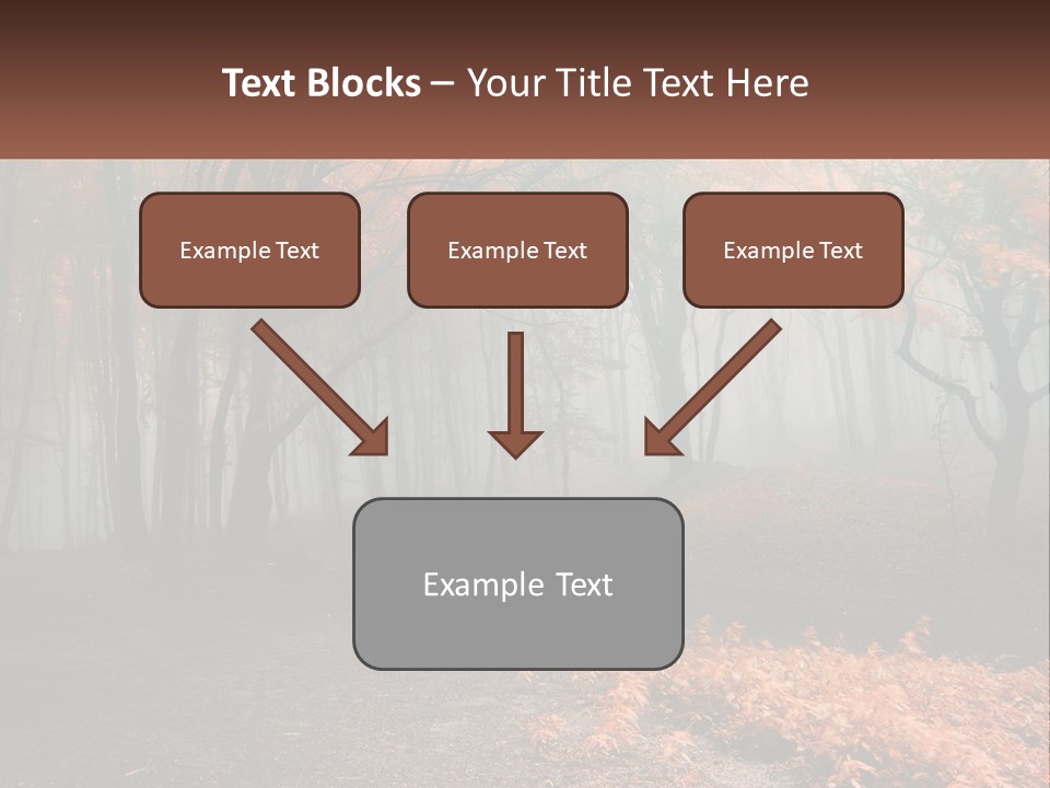 A Foggy Forest With Trees And Leaves On The Ground PowerPoint Template